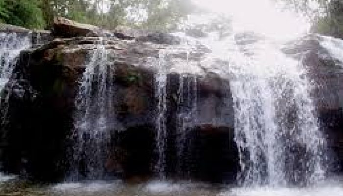 images (6)