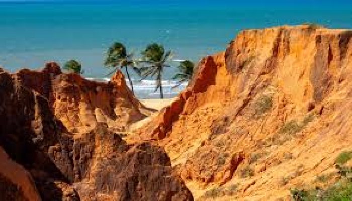 images (9)